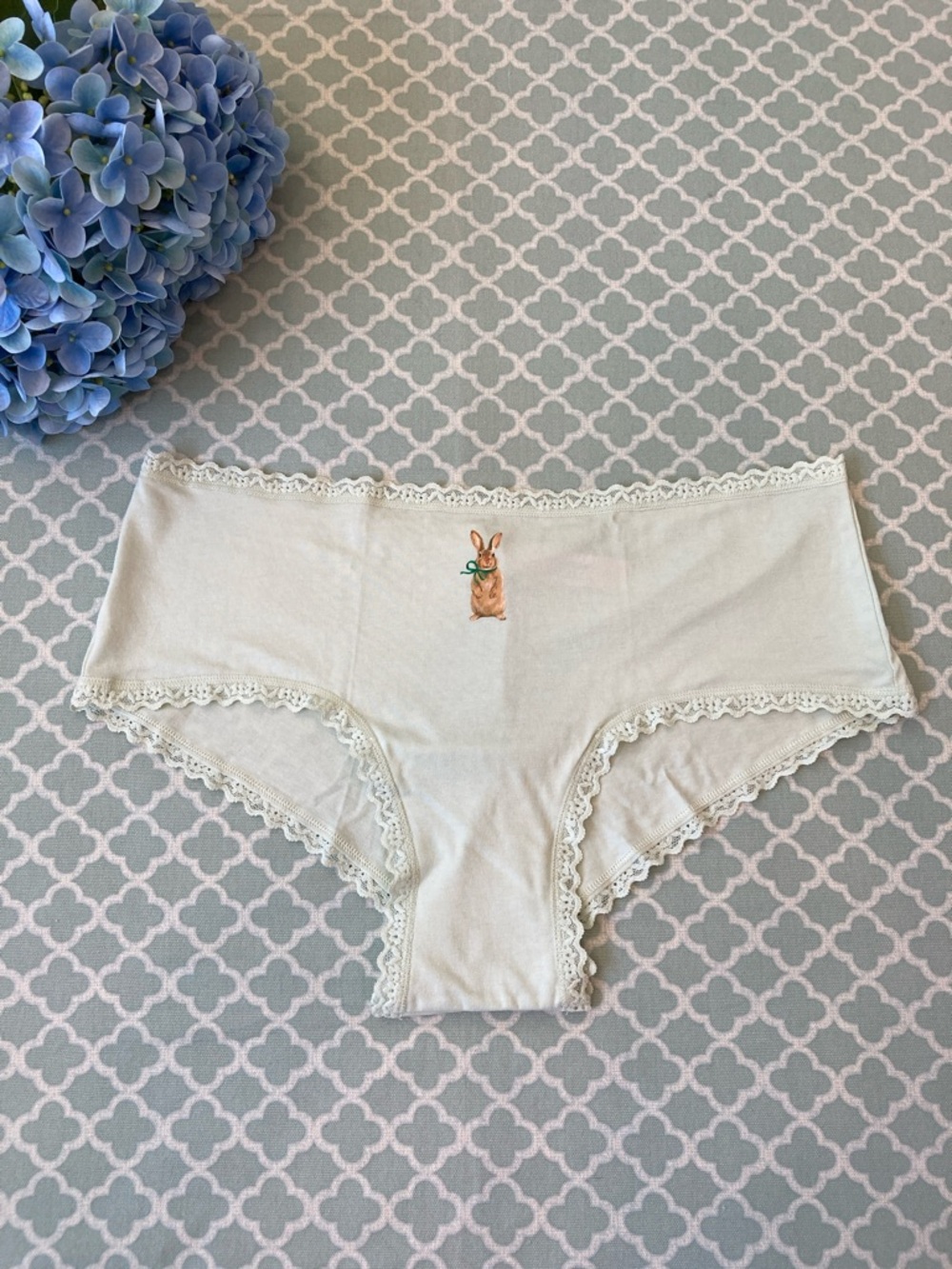 Victoria’s Secret Bunny Icon Lace Trim Cheeky Mint Green XL NWT
